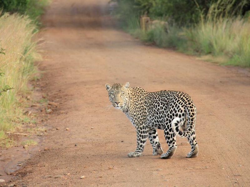 古根海姆博物馆<br>qyo4ufag.cn 螺旋坡道空间